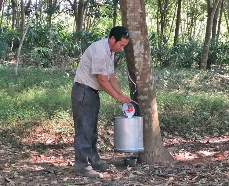 1701736709555029389.jpg 1701736709555029389.jpg