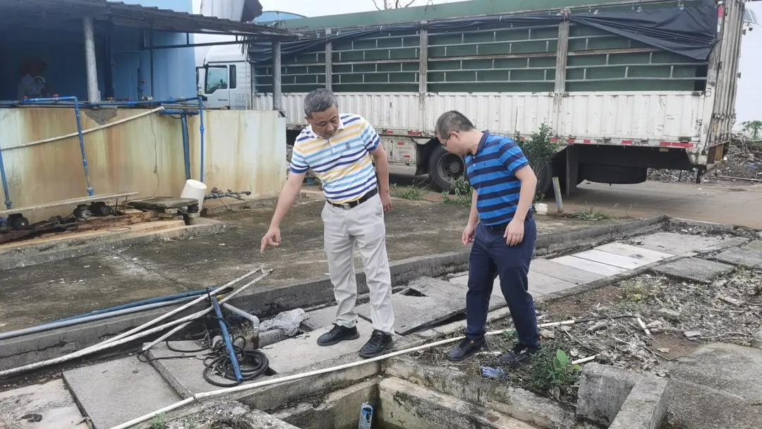 1727226696332003092.jpg 1727226696332003092.jpg