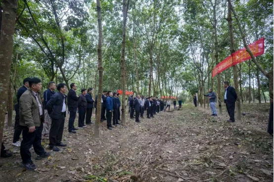 海南橡膠舉辦膠園冬春管理誓師大會(huì)暨生產(chǎn)工作會(huì)議